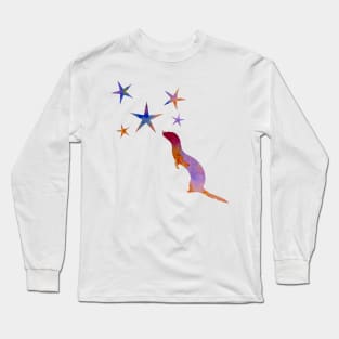 Ferret and stars Long Sleeve T-Shirt